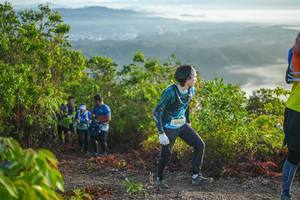 BIB: 2090
                            <button type="button" onclick="openModal(21876302)" class="btn btn-primary btn-sm float-right btn-popup" data-toggle="modal" data-target=".modal-high-quality">
                        <i class="fas fa-shopping-cart"></i> Add to Cart
                    </button>
                                            <button type="button" onclick="isThisMe(21876302, true)" class="btn btn-success btn-sm float-right btn-popup btn-isme hidden" data-toggle="tooltip" data-placement="bottom" title="นี่คือรูปของคุณใช่ไหม คลิกที่นี่เพื่อเอาเข้าอัลบั้ม">
                        <i class="fas fa-plus"></i> Add to album
                    </button>
                    <button type="button" onclick="isThisMe(21876302, false)" class="btn btn-warning btn-sm float-right btn-popup btn-isnotme hidden">
                        <i class="fas fa-ban"></i> Remove from album
                    </button>